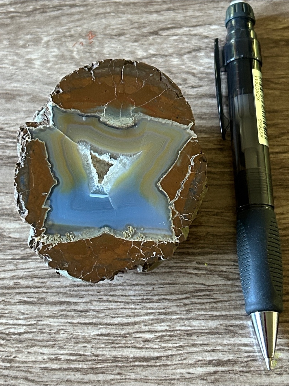 Thunderegg from Oregon (cut in 1/2)